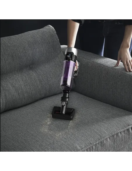 Rowenta RH2038 Aspiradora escoba 2 en 1 Batería Secar Sin bolsa 0,4 L 250 W Negro, Púrpura