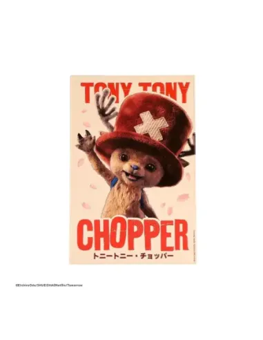 Placa de aluminio cinereplicas one piece tony tony chopper