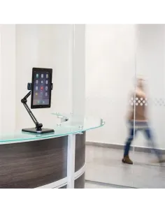 StarTech.com Soporte con Brazo Ajustable para Tablet - Pivotante - de Montaje en Pared 2