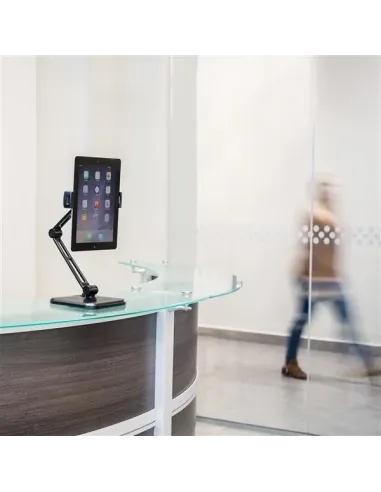 StarTech.com Soporte con Brazo Ajustable para Tablet - Pivotante - de Montaje en Pared