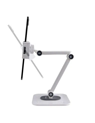 StarTech.com Soporte Ajustable de Sobremesa para Tablet - de Montaje en Pared - 1kg de Capacidad - Base Ergonómica Ajustable