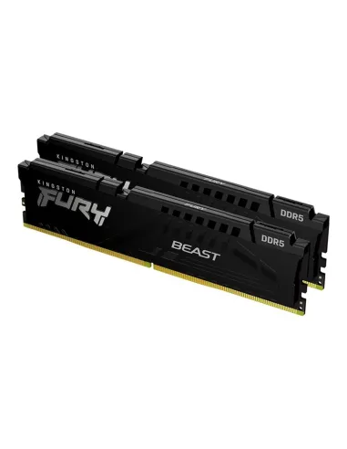 Kingston Technology FURY Beast