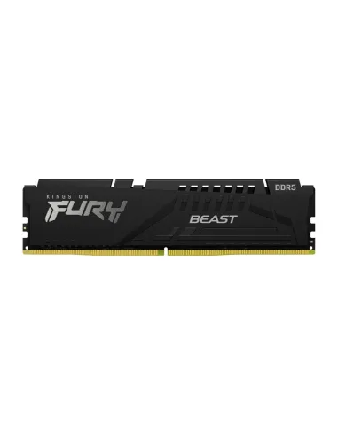 Kingston Technology FURY Beast