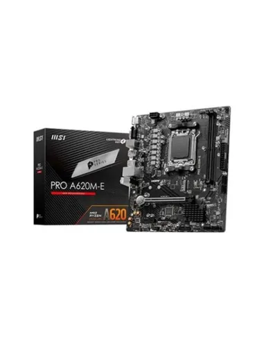 MSI PRO A620M-E