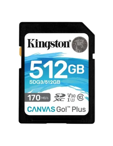 Kingston Technology Canvas Go! Plus