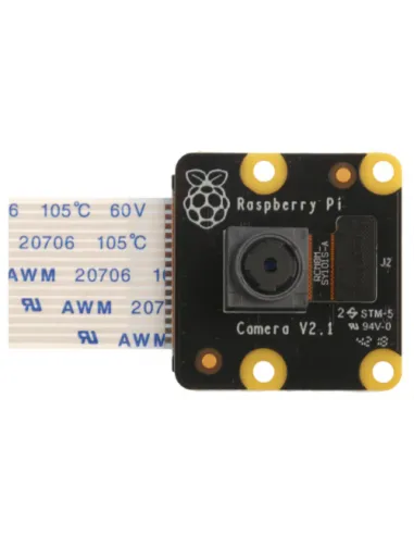 Raspberry Pi PiNoir Camera Module V2.1 Cámara Multicolor