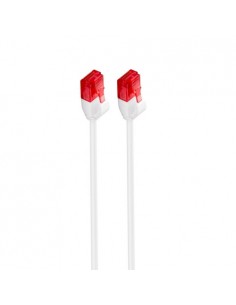 Ewent IM1040 cable de red...