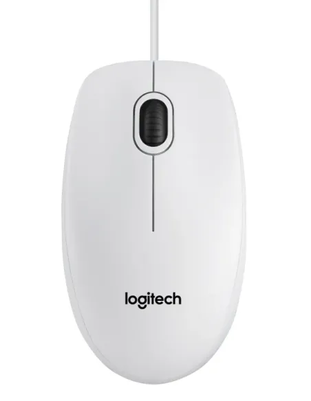 Logitech B120