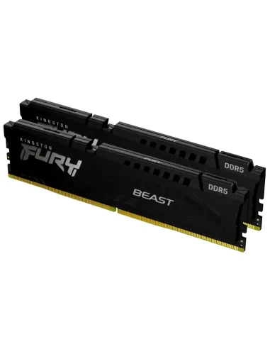 Kingston Technology FURY Beast