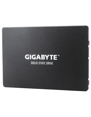 Gigabyte GP-GSTFS31240GNTD