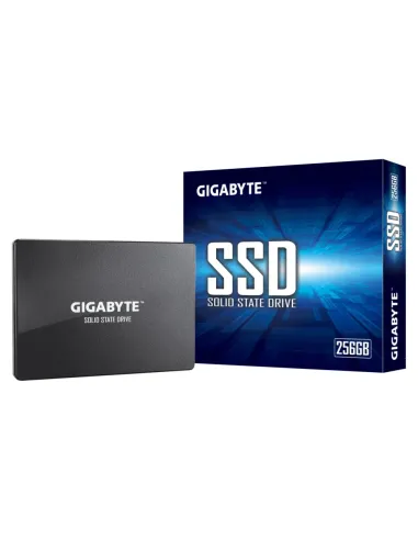 Gigabyte GP-GSTFS31256GTND