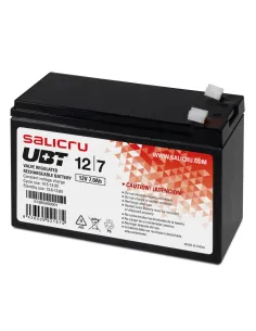 Salicru UBT 12/7