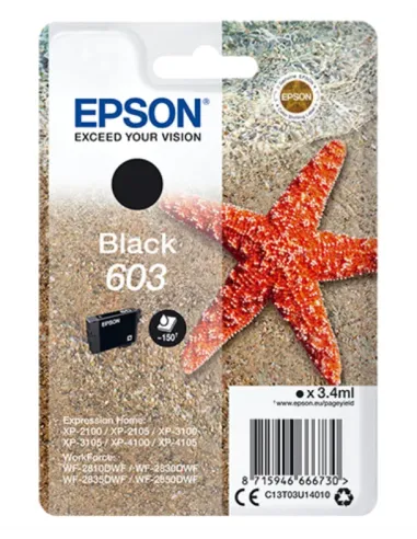 Epson Singlepack Black 603 Ink