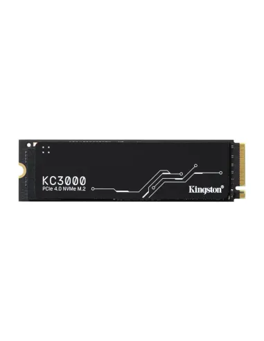 Kingston Technology KC3000