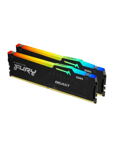 Kingston Technology FURY Beast RGB