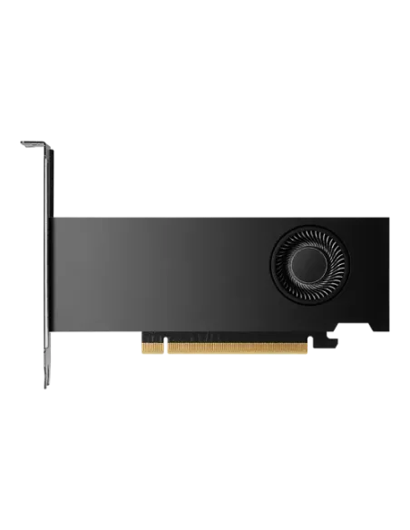 PNY NVIDIA RTX 2000 Ada Generation 16 GB GDDR6