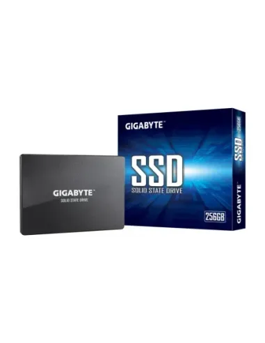 Gigabyte GP-GSTFS31256GTND