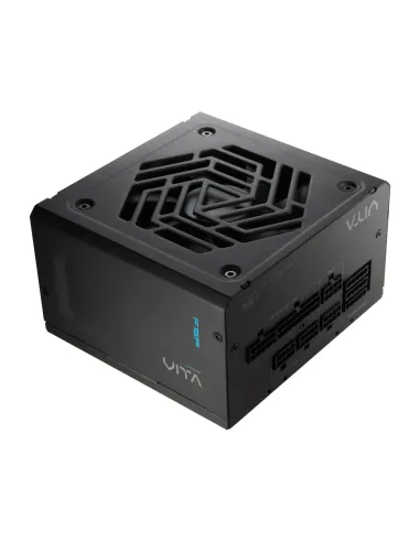 FSP VITA GM 1000W unidad de fuente de alimentación 20+4 pin ATX ATX Negro