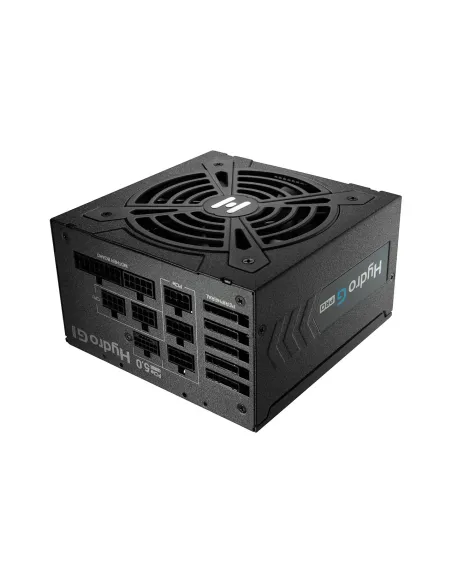 FSP Hydro G PRO ATX3.0(PCIe5.0) 1200W unidad de fuente de alimentación 20+4 pin ATX ATX Negro