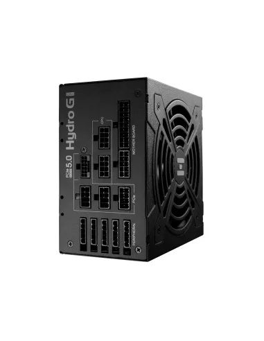 FSP Hydro G PRO ATX3.0(PCIe5.0) 1200W unidad de fuente de alimentación 20+4 pin ATX ATX Negro