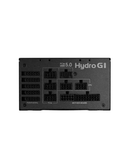 FSP Hydro G PRO ATX3.0(PCIe5.0) 1200W unidad de fuente de alimentación 20+4 pin ATX ATX Negro