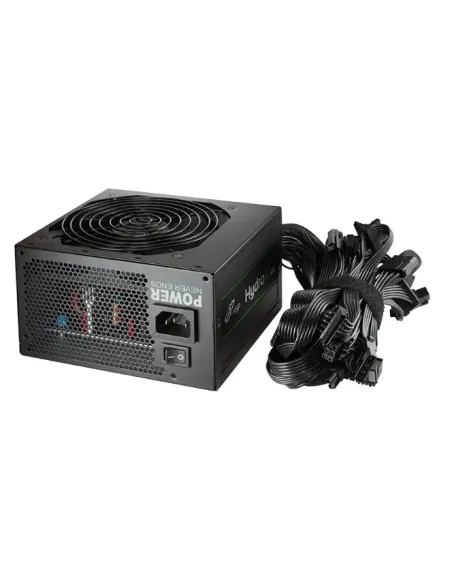 FSP HP2-500 unidad de fuente de alimentación 500 W 24-pin ATX ATX Negro