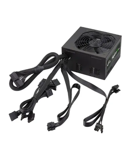 FSP HP2-500 unidad de fuente de alimentación 500 W 24-pin ATX ATX Negro