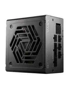 FSP VITA GM 750W unidad de fuente de alimentación 20+4 pin ATX ATX Negro 2