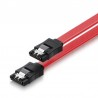 Ewent EC1510 cable de SATA 0,3 m SATA 7-pin Negro, Rojo