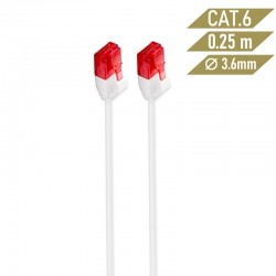 Ewent IM1035 cable de red Blanco 0,25 m Cat6 U/UTP (UTP)