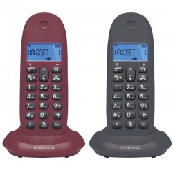 Motorola C1002 teléfono Teléfono DECT Identificador de llamadas Gris