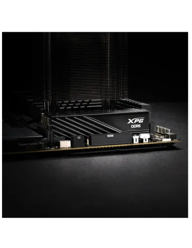 ADATA Lancer Blade módulo de memoria 32 GB 2 x 16 GB DDR5 6000 MHz ECC