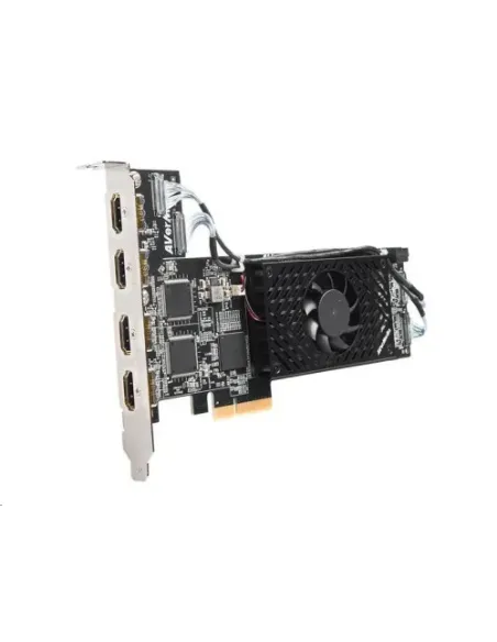 AVERMEDIA CAPTURADORA DE VIDEO PRPFESIONAL CL314H1 PCI LOW PROFILE (61CL314HA1AR)