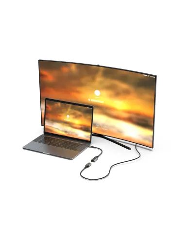 Equip 133493 adaptador de cable de vídeo 0,15 m USB Tipo C DisplayPort Negro, Gris