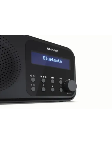 Sharp DR-P420 Portátil Digital Negro