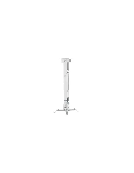 iggual SPTP01 montaje para projector Pared techo Blanco