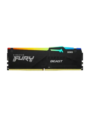 Kingston Technology FURY Beast RGB