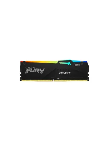 Kingston Technology FURY Beast RGB