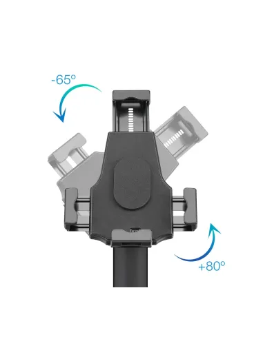 TooQ TQTDS0811 soporte de seguridad para tabletas 26,7 cm (10.5") Negro