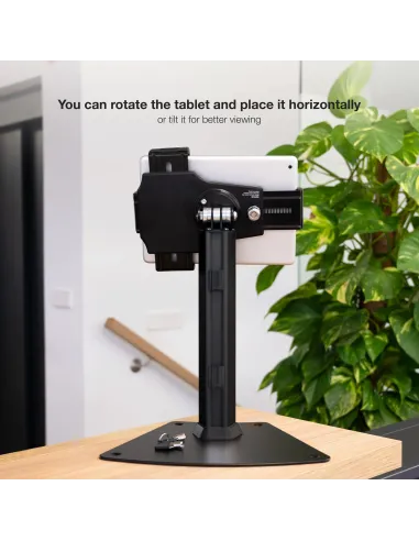 TooQ TQTDS0811 soporte de seguridad para tabletas 26,7 cm (10.5") Negro